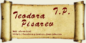 Teodora Pisarev vizit kartica